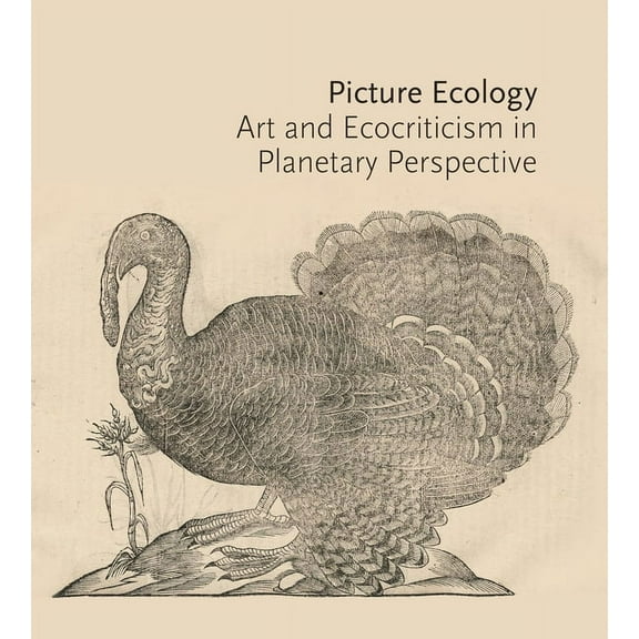 Picture Ecology: Art and Ecocriticism in Planetary Perspective, (Paperback)