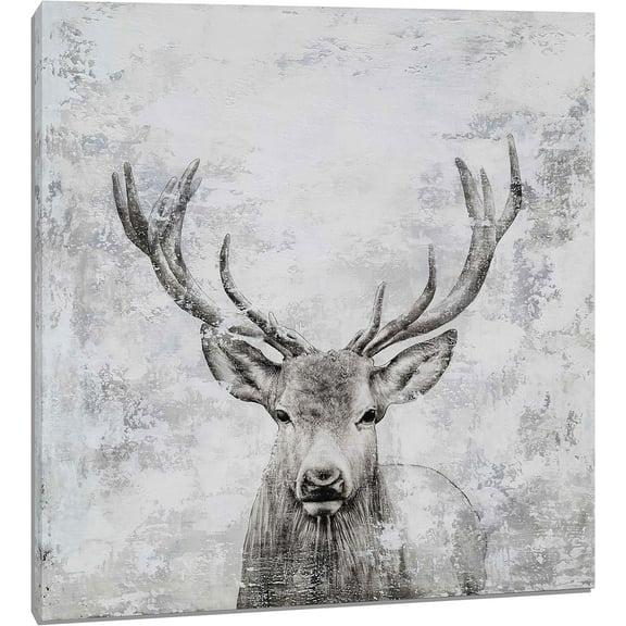 VELVET Deer Wall Decor, Young Buck Canvas Art Print, Black and White Rustic Hunting Pictures, Animal Head Paintings for Bathroom Home Rustic Cabin Decor Ready to Hang 11x14inch Framed