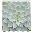 thumbnail image 3 of Ambesonne Desert Shower Curtain, Cactus Flowers Photo, 69"Wx70"L, Sage Green, 3 of 3