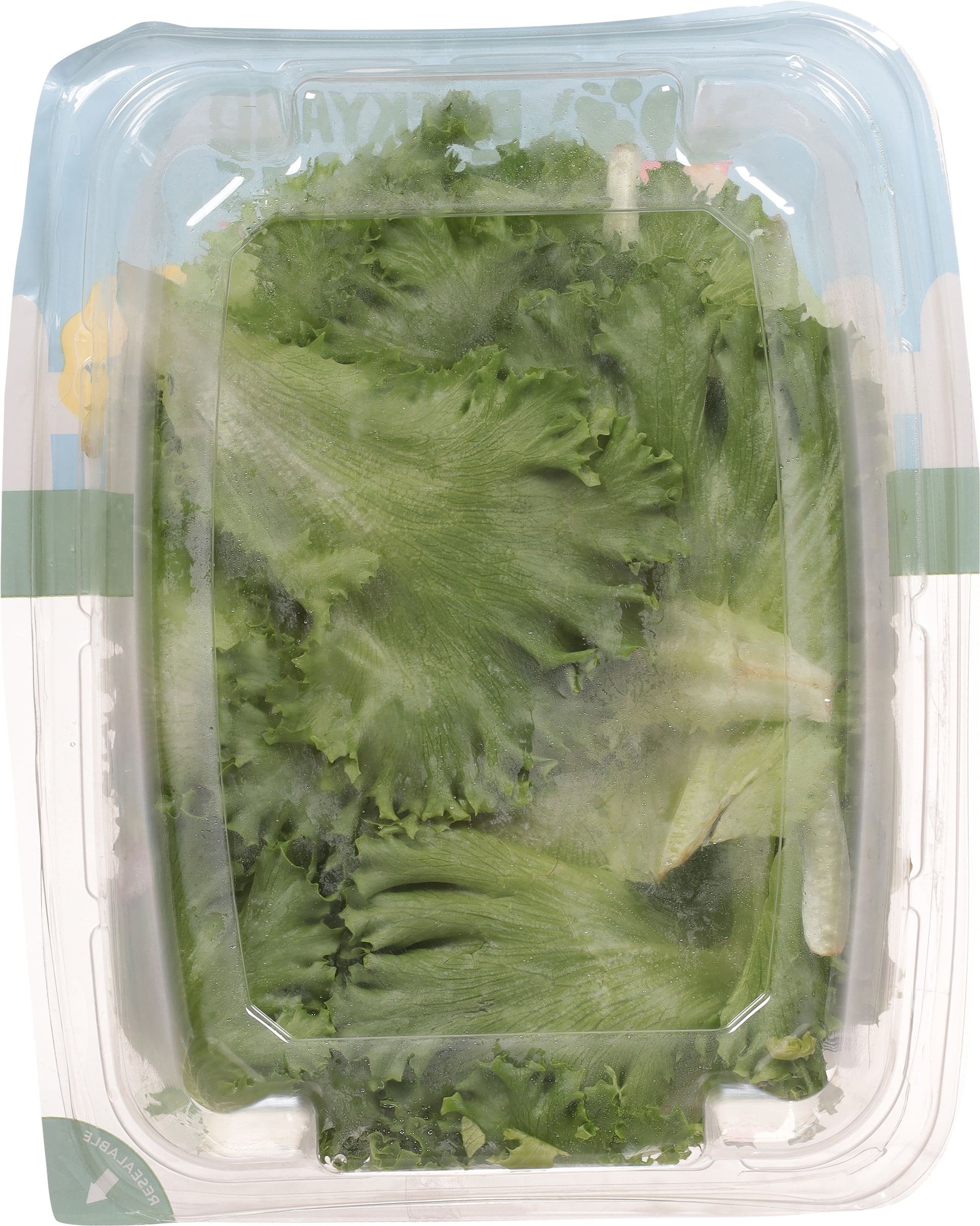 Backyard Farms Green Leaf Pre-Washed Lettuce, 4 oz Resealable