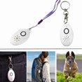 thumbnail image 5 of Collar USB contra pulgas y garrapatas para perros - Para mascotas de tamaño pequeño a mediano 1 pieza, 5 of 5