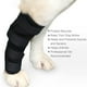 thumbnail image 3 of Rodillera flexible para perros Sunnimix Protector de ortesis de codo de pierna S, 3 of 8