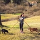 thumbnail image 2 of Correa para Perros, 5 m - 10 m, Correa Larga para Adiestramiento de Perros, Ideal para Senderismo, Camping, Entrenamiento, Playa, Adecuada para Perros pequeños y medianos.（10m） ER, 2 of 5