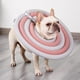 thumbnail image 4 of Collar isabelino suave Salvador para perros de Recuperación Gris Rosa S, 4 of 7