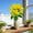 Yellow, variant on Yellow Artificial Flowers,Realistic Flowers,Spring Flowers,13In Blue Artificial Lily Bouquet,Lifelike Fake Lilies For Wedding,Home,Table,Party And Indoor Decoration.(Yellow)