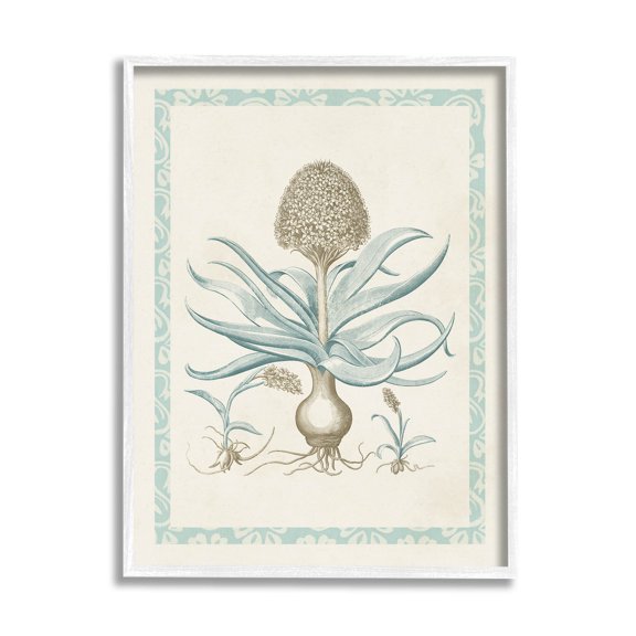 Stupell Industries Botanical Latin Study Plant Graphic Art White Framed Art Print Wall Art, Design by Vision Studio