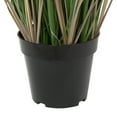thumbnail image 4 of Vickerman 48" Artificial Potted Green Curled Grass., 4 of 5