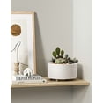 thumbnail image 6 of BEMAY 2-Pack 8+6.5 inch White Ceramic Succulent Pots with Drainage Holes for Indoor, Patio, and Garden Decor Plant Pots, 6 of 9