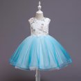 thumbnail image 2 of Fesfesfes Toddler Kid Girl Sleeveless Tulle Dress Lace Princess Gown Party Dress Cosplay Clothes Spring, 2 of 9