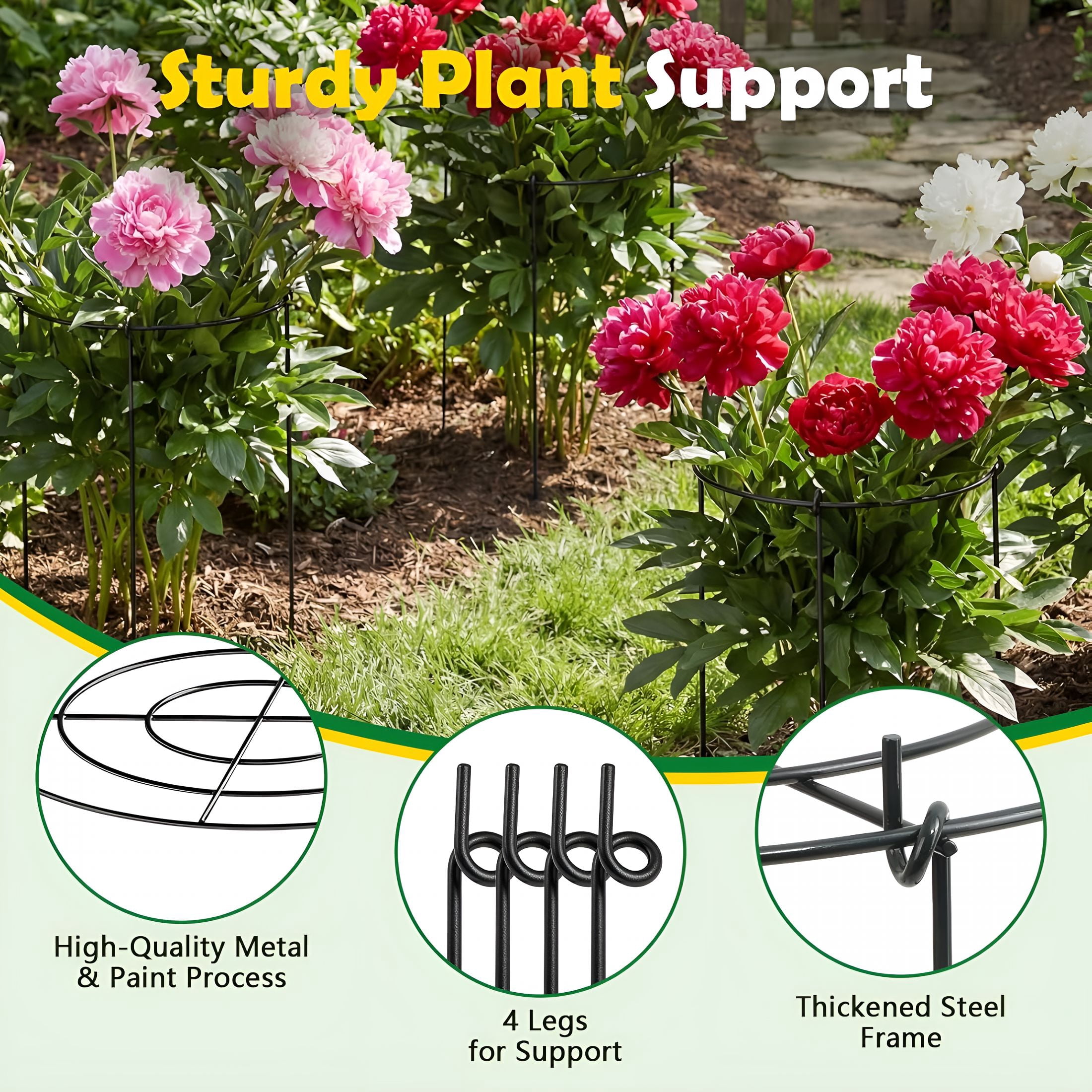 ZHZFKQ Peony Cages and Supports 8 Pack,12X16 Inch Heavy Duty Metal Plant Cage for Outdoor Plants-Grow through Flower Support Rings for Peonies,Roses,Tomatoes&Hydrangeas