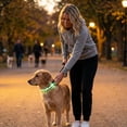 thumbnail image 5 of Glow in The Dark Dog Collar – LED Light Up Reflective Collar for Night Visibility,Heavy Duty Nylon Adjustable Waterproof Pet Safety Collar for Small to Large Dogs Green, 5 of 7