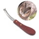 thumbnail image 4 of Cuchillo De Borde De Pezuña, Seguro De Usar Hoja De Acero Inoxidable Cuchillo De Pezuña Hoja De Doble Cara Ergonómica Para El Recorte De Pezuñas De Caballo ANGGREK BJ3111, 4 of 8