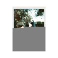 thumbnail image 1 of CHOPIN / ARGERICH / KOVACEVITCH BLOODY DAUGHTER (2 Pcs) Disque Vidéo Numérique, 1 of 3