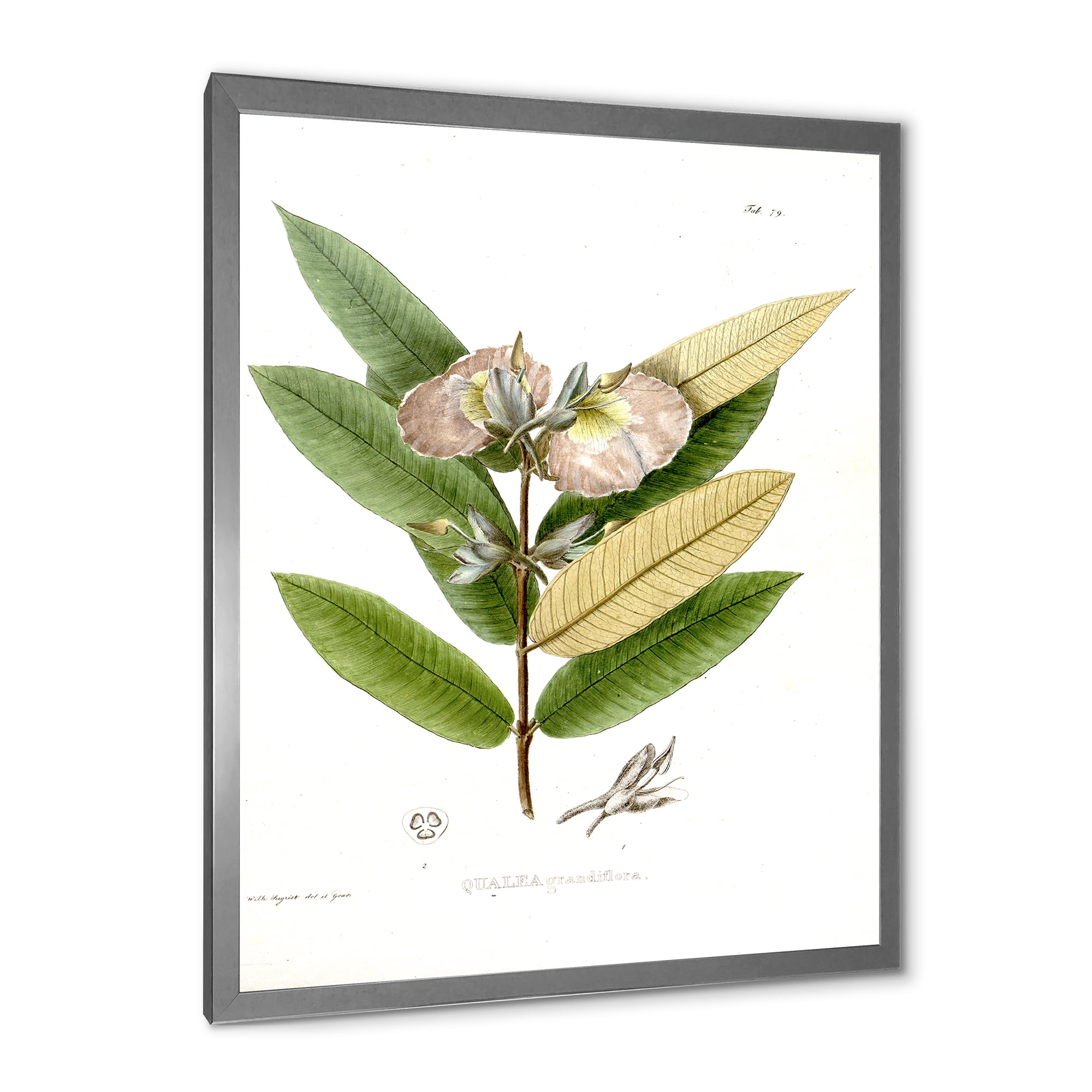 Designart 'Ancient Blossoming Flower II' Traditional Framed Art Print
