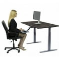 thumbnail image 6 of Premier 52" Silver Dual Motor Electric Office Adjustable Standing Desk, 6 of 8