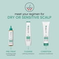 thumbnail image 3 of Biolage Scalp Sync Shampooing Apaisant 1 L, 3 of 7