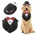 Top Hat for Dog Dog And Owner Matching Hats Dog Lifeguard Cowboy Hat