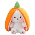 thumbnail image 1 of Cartoon Plush Doll, PP Cotton Pillow Simple Cartoon Stuffed Toy Skin Friendly  For Dormitory, 1 of 8