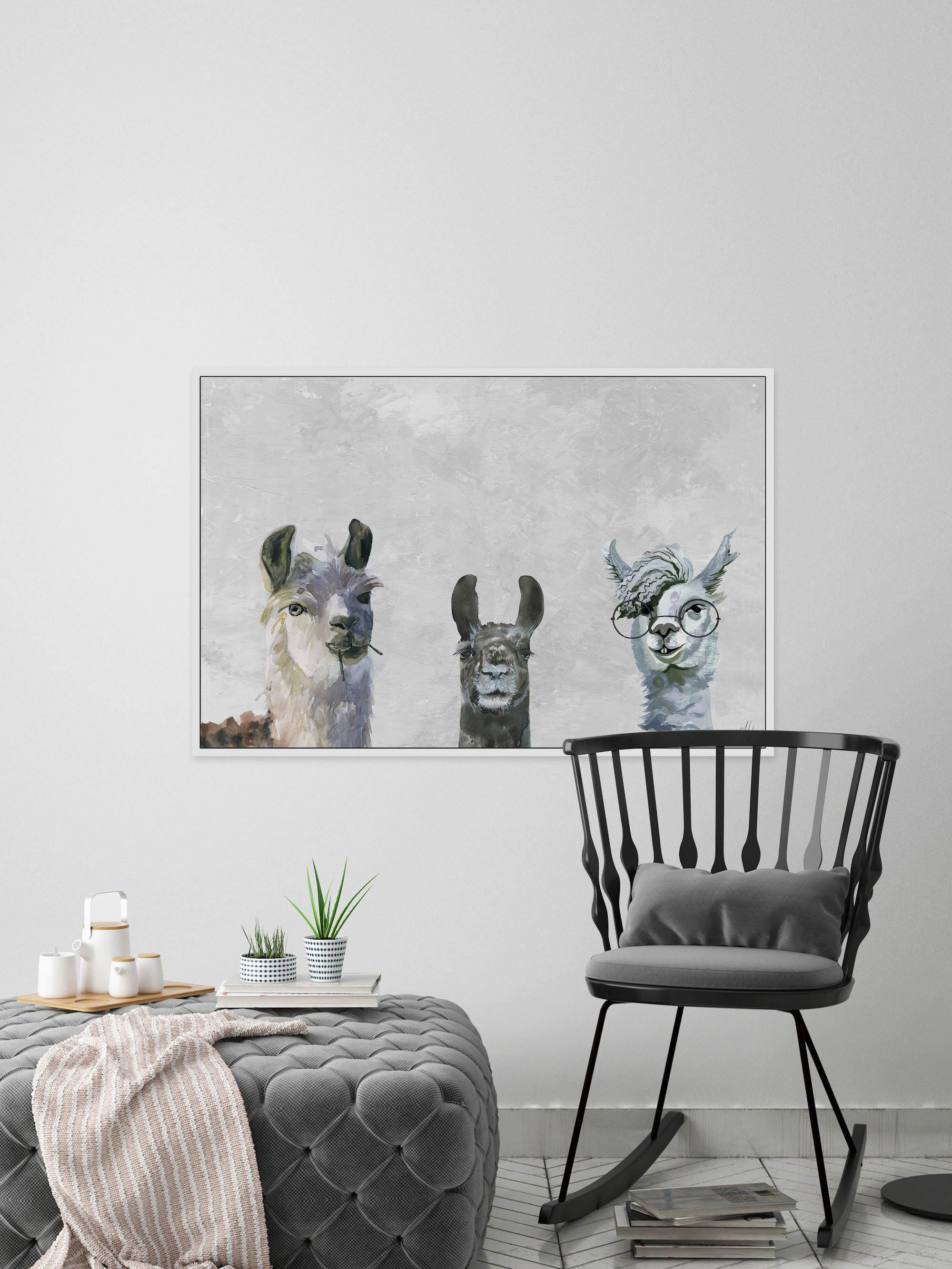 Llama Squad II Floater Framed Painting Print on Canvas