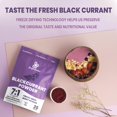 Jungle Powders Black Currant Powder 5 Ounce Bag, Freeze Dried Currants