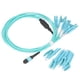 thumbnail image 1 of Cable de Conexión de Fibra Óptica ANGGREK Puente de 12 Fibras, 1 of 8