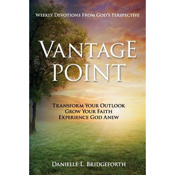 Pre-Owned Vantage Point: Weekly Devotions from God's Perspective (Paperback) 1683145119 9781683145110