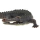 thumbnail image 3 of Juguetes de animales marinos Zulema Mini figuras Plástico Negro, 3 of 7