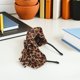 thumbnail image 4 of unbranded Animal Print Leopardo Ancha Para Mujer Con Nudo Estilo Retro Ideal Para Fiesta Y, 4 of 7
