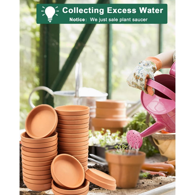 2 Inch Small Terracotta Pot Plant Saucer - 32 Pcs Mini Round Plant Pot Saucers, Tiny Clay Plant Trays Perfect for 1 Inch 1.5inch Flower Plant Pot with