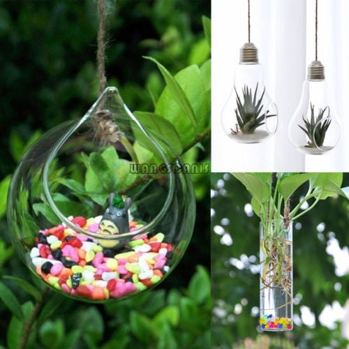 6pcs Glass Ball Shaped Flower Plant Tabletop Vases Fish Bowl Container Decor 