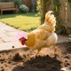 thumbnail image 5 of 1PC Pet Supplies Funny Chicken Hen Hard Hat Bird Hat Headgear, 5 of 5