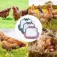 thumbnail image 3 of Silla de montar para pollo, delantal para gallina con correas para protección del ala trasera de aves de corral, 3 uds., 3 of 5
