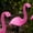 Multi, variant on BrylaneHome Flamingo Outdoor Solar Stake Lights, Set of 10, Multi Pink