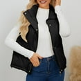thumbnail image 6 of Fanxing Puffer Vest Women Lightweight Full-Zip Stand Collar Sleeveless Quilted Jacket Warm Winter Coat Padded Down Outerwear Black M, 6 of 9