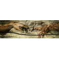 thumbnail image 2 of Sola, Bresso 32x13 Black Ornate Wood Framed with Double Matting Museum Art Print Titled - God and Adan, 2 of 4