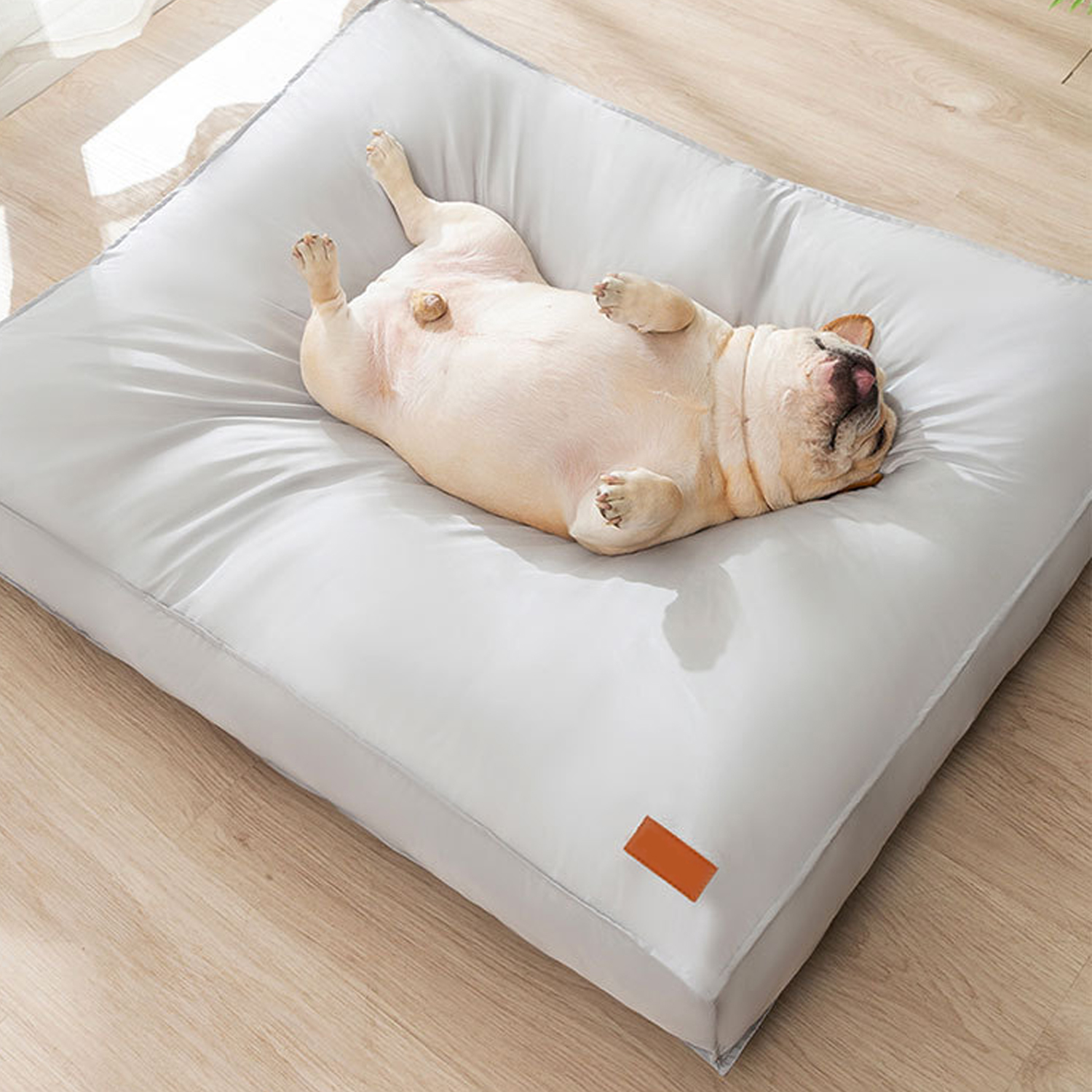 Dog Bed, Waterproof Dog Bed with Removable Washable Cover, Pet Bed Mat Suitable for Cats Small Medium Dogs 1-40 Pounds Gray L