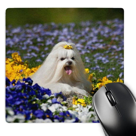 3dRose, USA, California. Maltese lying in flowers with yellow bow., MousePad