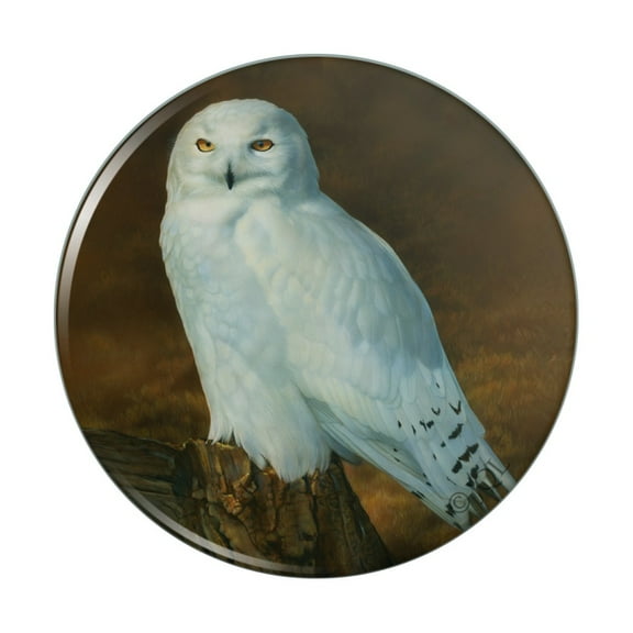 Snowy Arctic Owl on Tree Stump Kitchen Refrigerator Locker Button Magnet