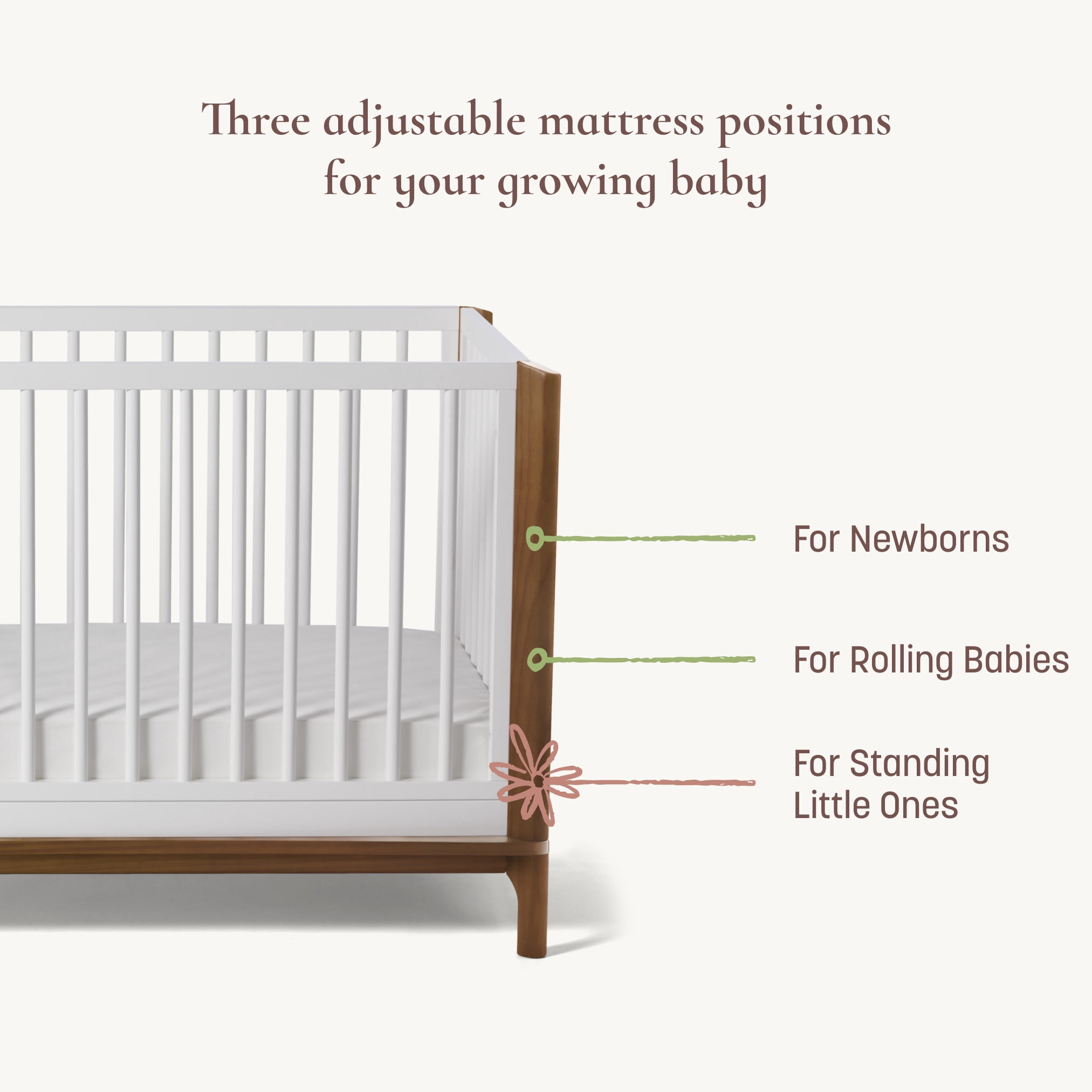 Little Seeds Laurel 4-in-1 Convertible Crib , Black/Acorn