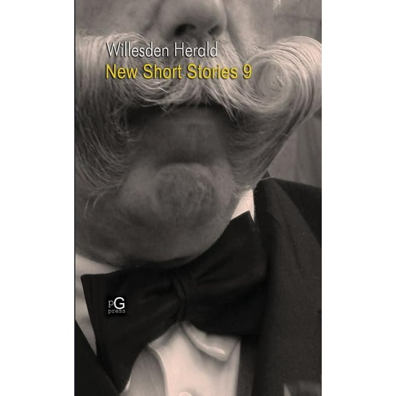 Willesden Herald : New Short Stories 9 (Paperback)