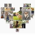 thumbnail image 5 of Translucent reflective waterproof dog collar strong coated nylon webbing with black hardware, 5 of 5