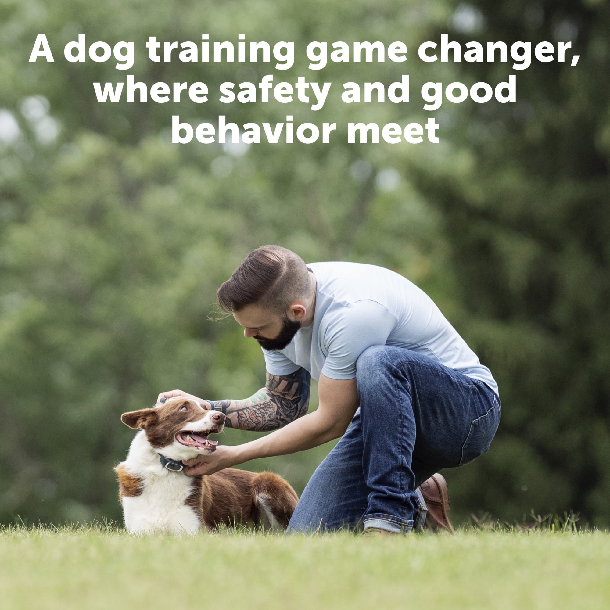 PetSafe 100 Yard Remote Training Collar – Small or Medium Dogs – Choose  from Tone, Vibration, or 15 Levels of Static Stimulation – Short Range  Option