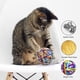 thumbnail image 4 of Pelotas de juguete para gatos, 2 piezas de pelota interactiva de juguete para gatos con campana, juguete de lana colorido para masticar ejercicio de juego de mascotas, 4 of 5