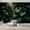 Color 2, variant on Wallpaper Elegant Rainforest Tropical Jungle Banana Leaf Blue Gold Peel and Stick Wall Murals 100"H x 144"W Removable PVC Wall Paper Self-Adhesive Wall Paintings Art Decor for Bedroom Living Room