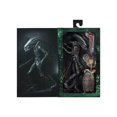 thumbnail image 4 of Figura de acción NECA Alien vs AVP Alien de sangre de hierro A1 3.0 Edición de lujo Heqiyon Caja especial PVC 19 CM Adulto, 4 of 5