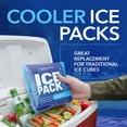 thumbnail image 3 of Paquetes de hielo Everlasting Ice RX Rapid Performance, paquete de 4, 3 of 6