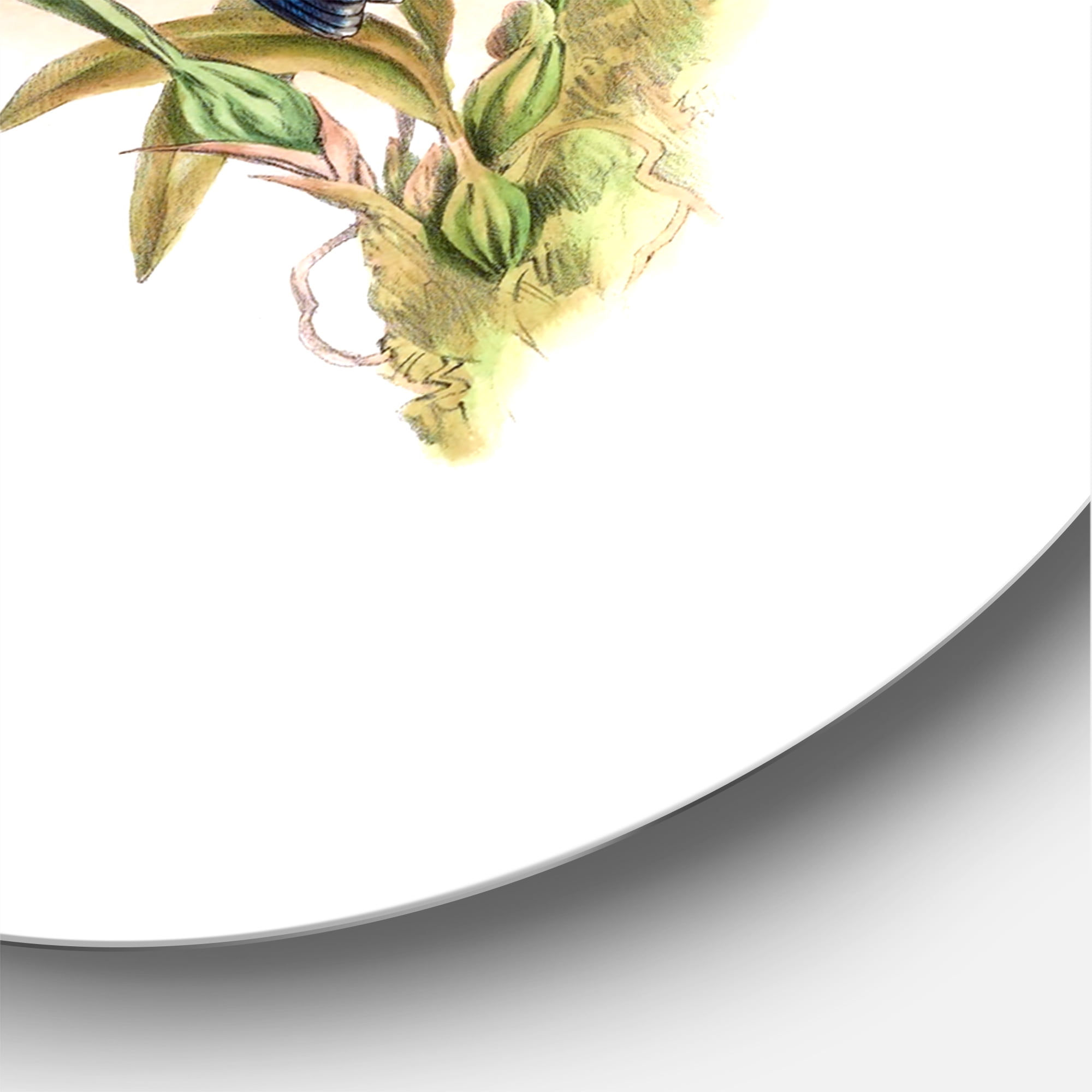 Designart 'Ancient Hummingbird III' Traditional Circle Metal Wall Art 29x29 - Disc of 29
