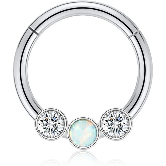 FFIY Septum Jewelry 16G Septum Ring Septum Piercing Unique Design Daith Piercing Jewelry 316L Surgical Steel Clicker HOPP Segment Hinged Nose Rings Hoop Cartlidge Helix Rook Earrings
