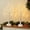 white, variant on EAMBRITE Birch Tree with LED Lights, Lighted Fairy Light Spirit Tree Lamp