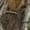 Camo Hunting Tree, variant on Pzuqiu Camouflage Hunting Sweatshirt Kids 8-9 Versatile Personalized Girls' Fashion Hoodies & Sweatshirts Lightness Fall Winter Clothes Long Sleeve Jacket Outfits for Daily Life